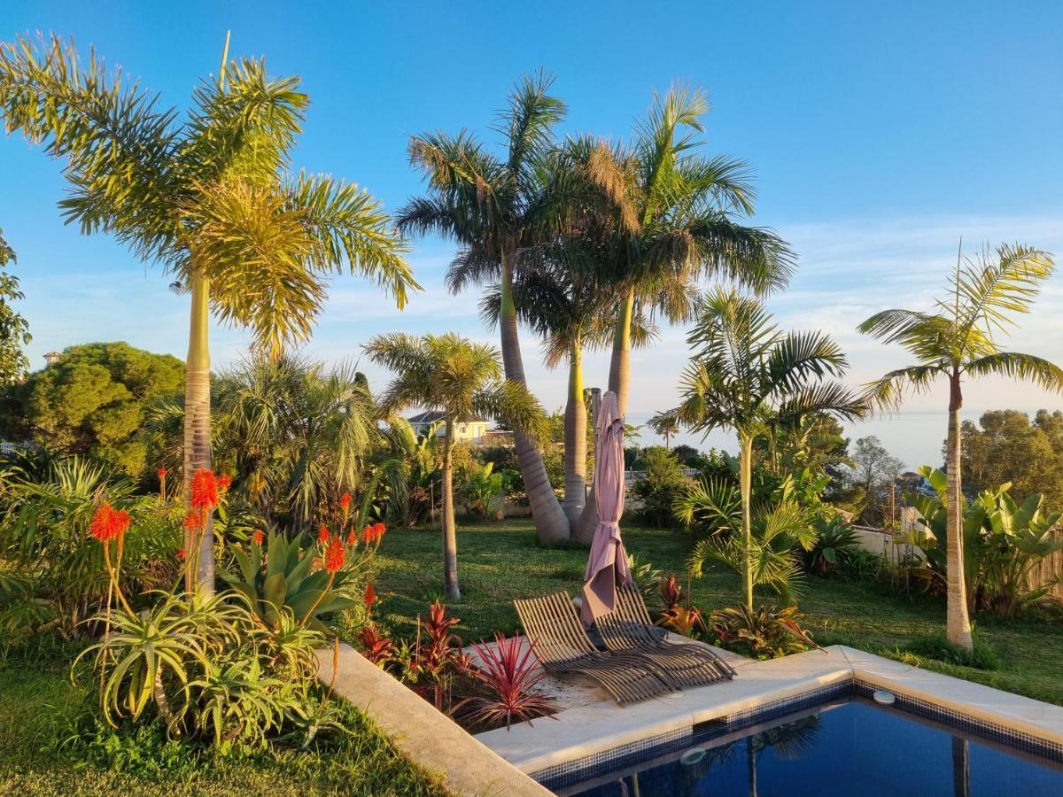 Bed & Breakfast In Villa Eden Palm 贝纳尔马德纳 外观 照片