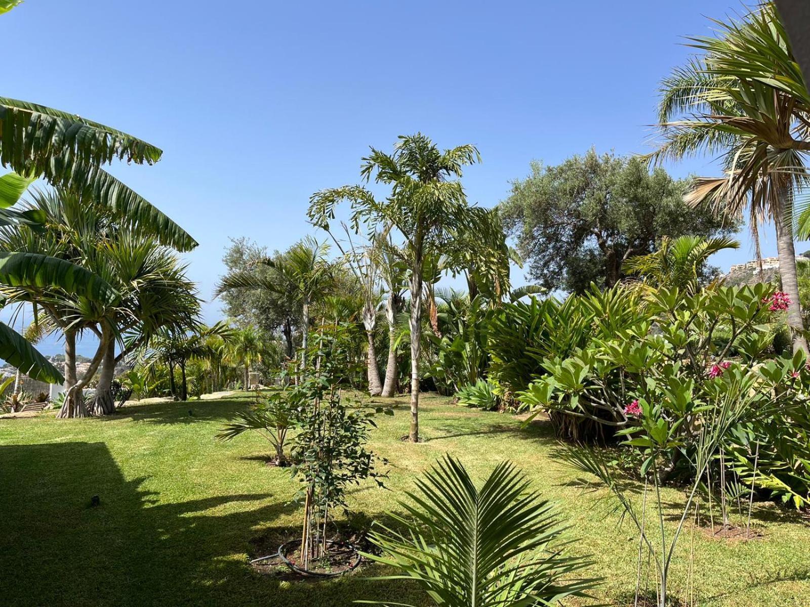 Bed & Breakfast In Villa Eden Palm 贝纳尔马德纳 外观 照片